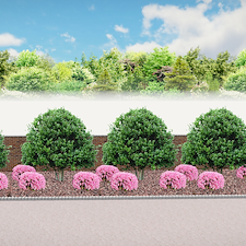 Landscape-Renovation-in-Highland-Lakes 0